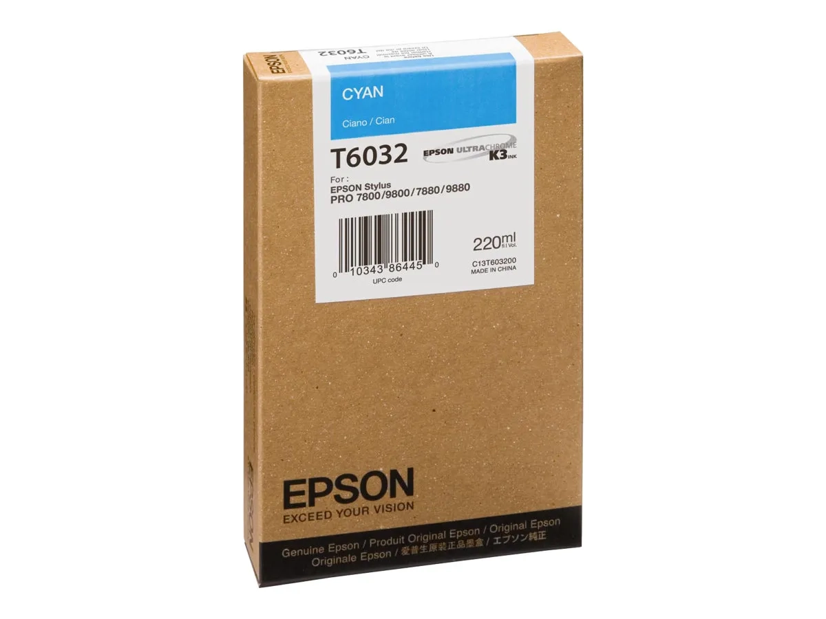 Epson T6032