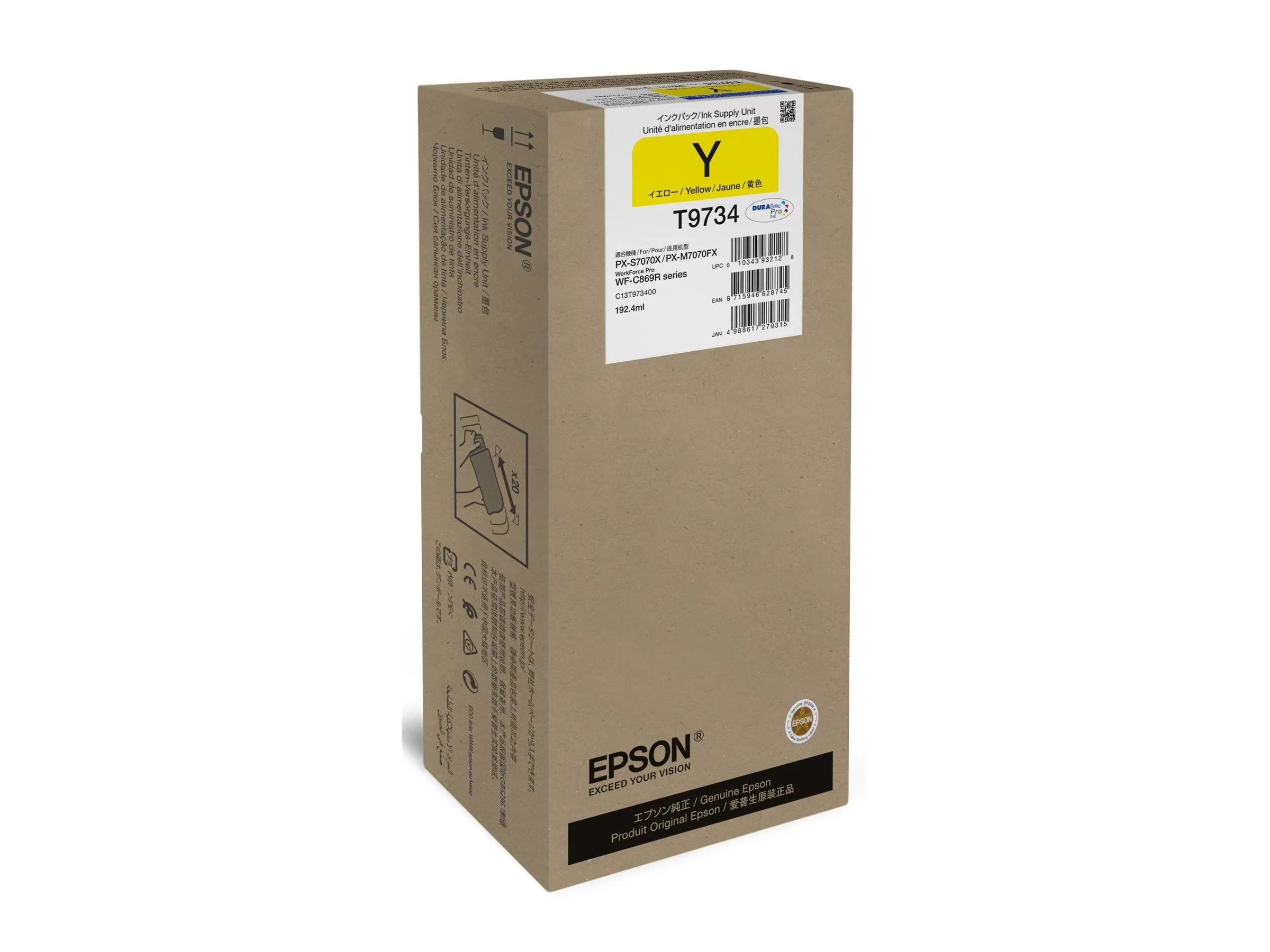 Epson T9734