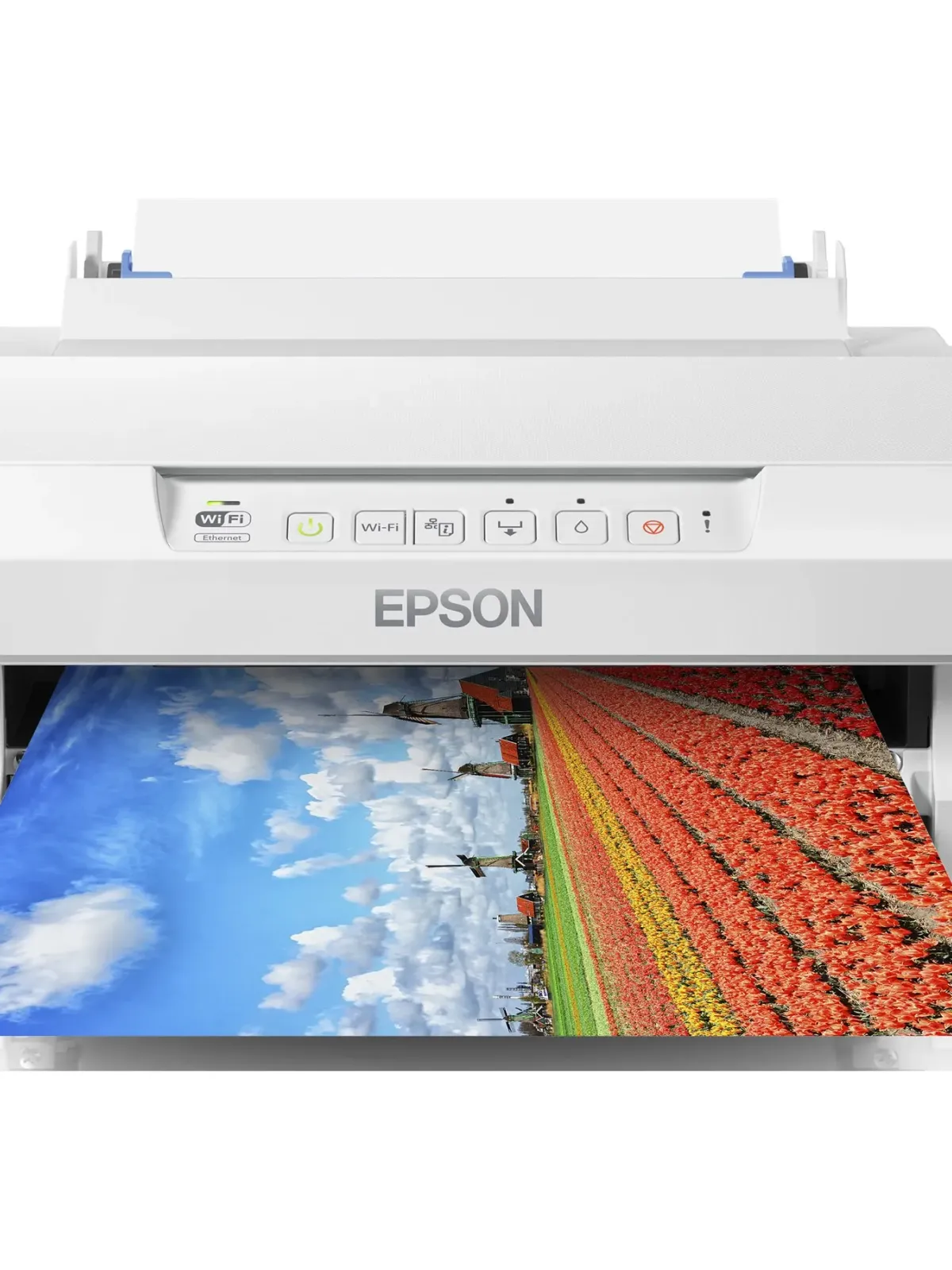 Epson Expression Photo XP