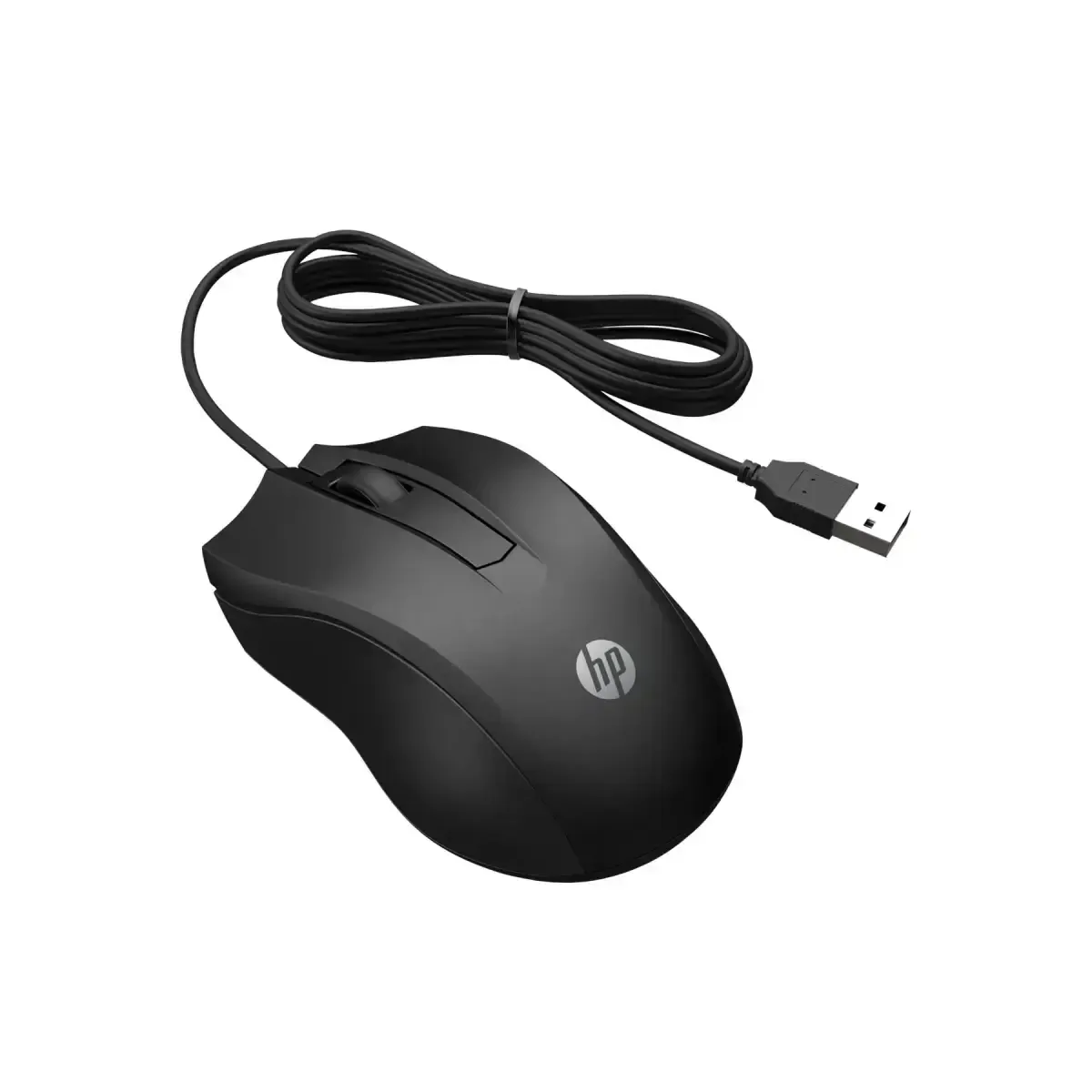 HP 100