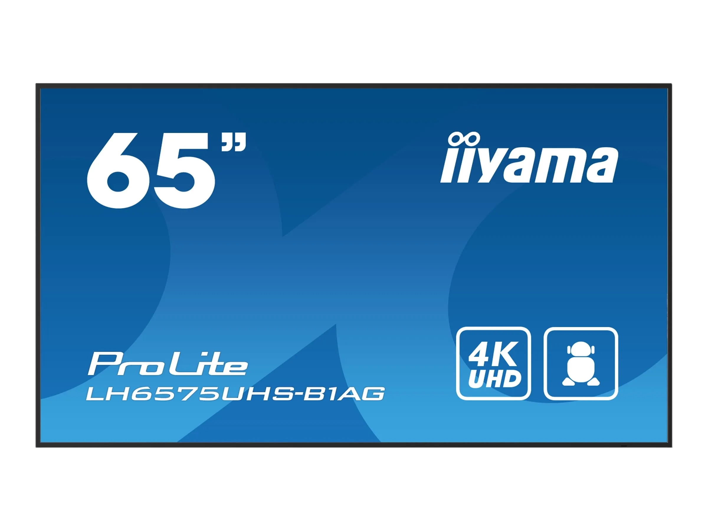 iiyama ProLite LH6575UHS