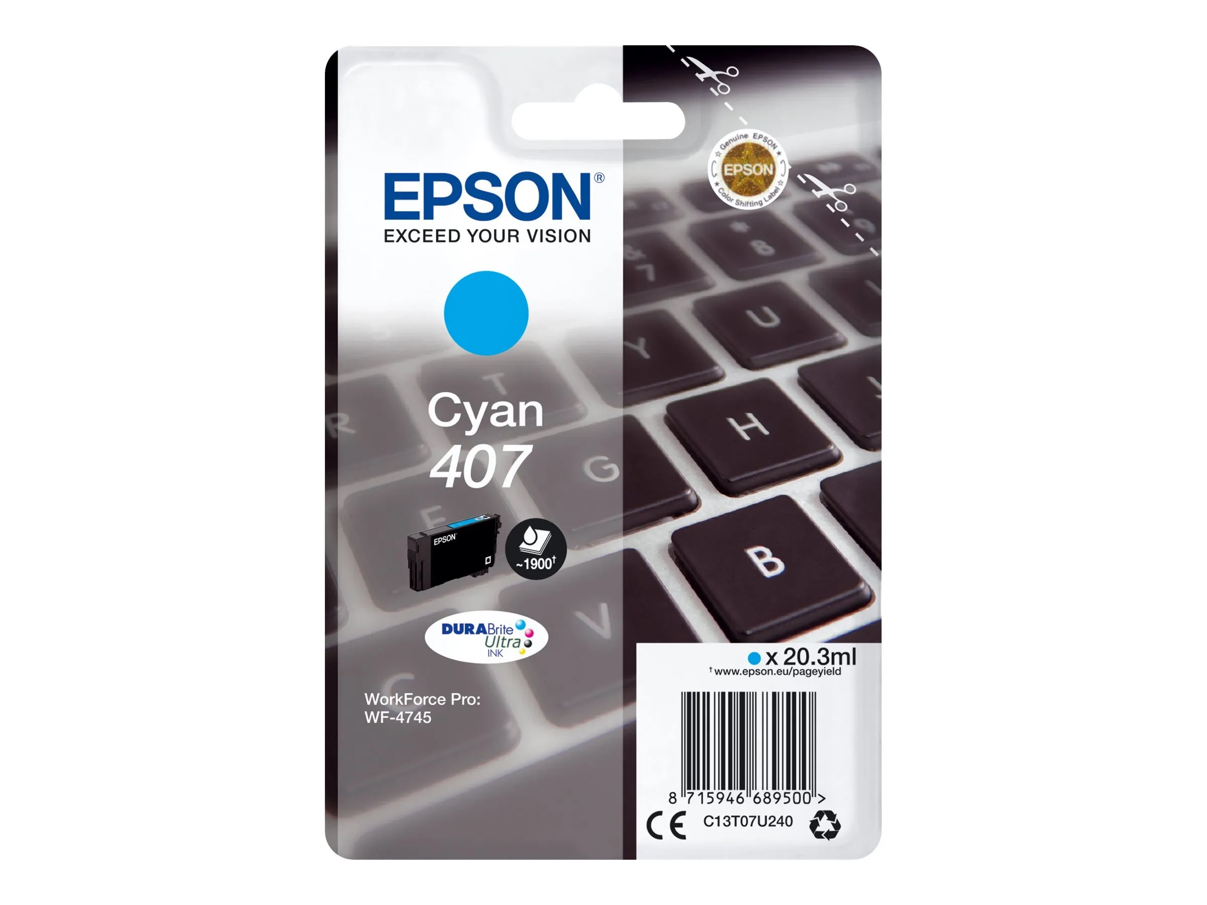 Epson 407