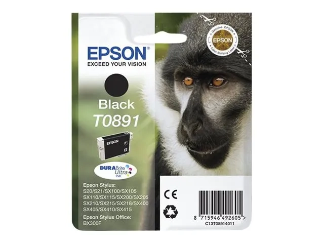 Epson T0891