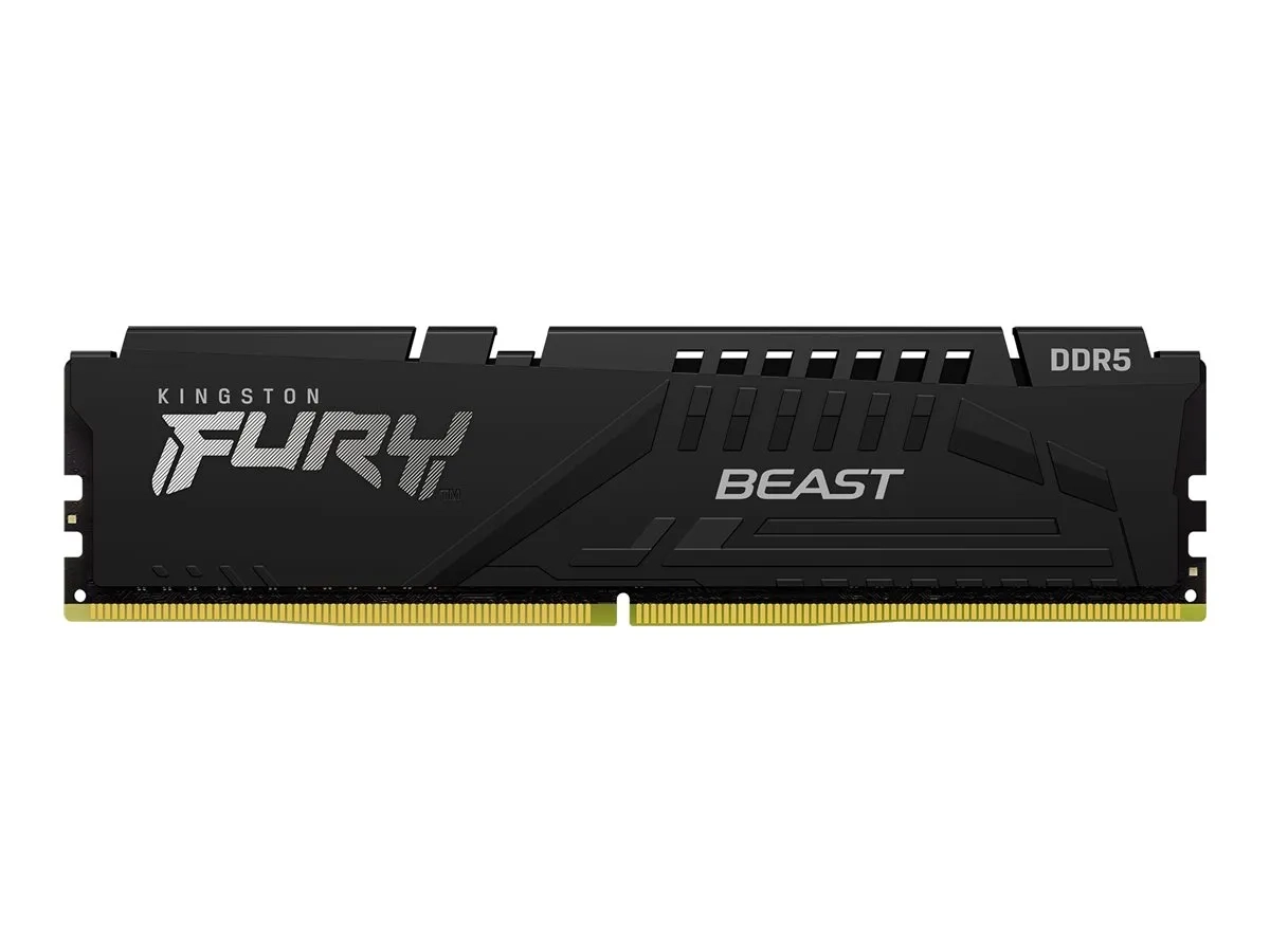 Kingston FURY Beast