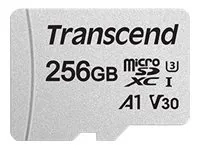 Transcend 300S