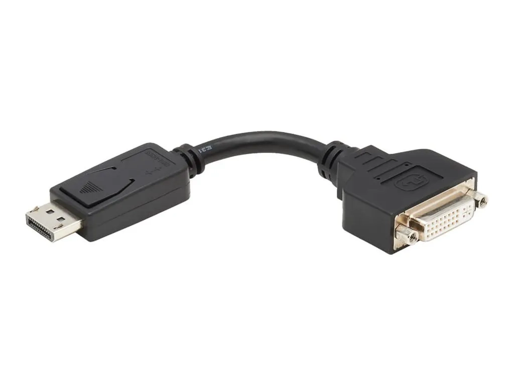 Eaton Tripp Lite Series DisplayPort to DVI