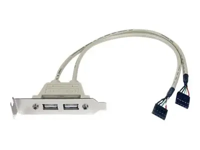 StarTech.com Câble adaptateur USB 2.0 IDC 5 broches vers plaque à 2 ports USB A