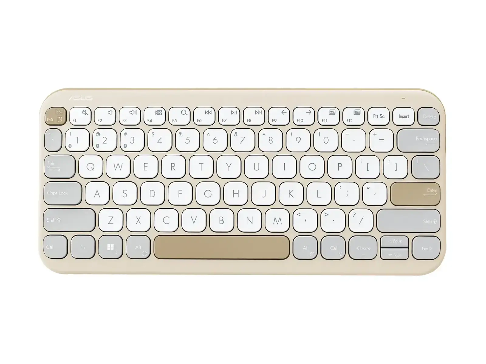 ASUS Marshmallow KW100